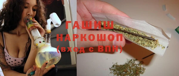 скорость Щигры