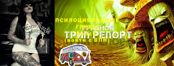 скорость Щигры