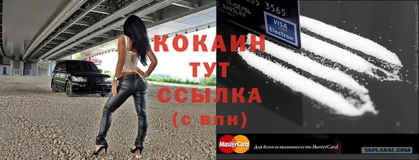 скорость Щигры