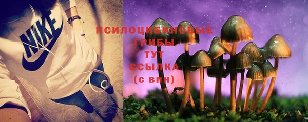 таблы Щучье