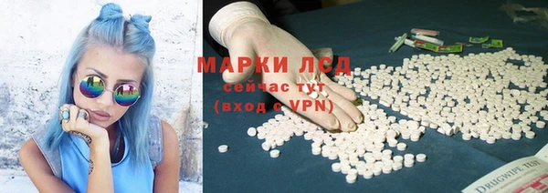 скорость Щигры