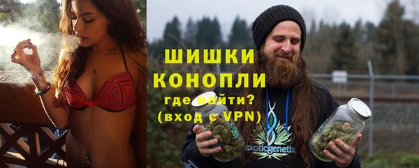 скорость Щигры